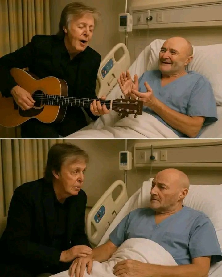 No one expected to see Paul McCartney quietly walking down the stark hospital corridor, but there he was — carrying a small bouquet of daisies and his guitar — coming to visit his dear friend Phil Collins, who has been recovering from serious health complications. Witnesses described how the former Beatle paused at the doorway for a moment, taking in the sight of Phil resting in bed, before entering with a gentle smile and saying softly, “Hey mate, thought I’d bring a little music with me.” He placed the flowers on the table, pulled up a chair, and took Phil’s hand, the two of them sharing quiet words and bittersweet laughter as they reminisced about decades of friendship, wild tours, and surviving the madness of fame together. Then, in a moment that left everyone in the room silent, Paul picked up his guitar and began to play “Yesterday,” his timeworn voice carrying each lyric like a prayer. Phil, visibly frail but deeply moved, closed his eyes and mouthed the words, tears slipping down his face, while nurses and family members watched from the doorway, one later saying, “It felt like witnessing two old friends speak the only language they’ve ever truly needed — music.”FULL VIDEO BELOW 👇👇👇